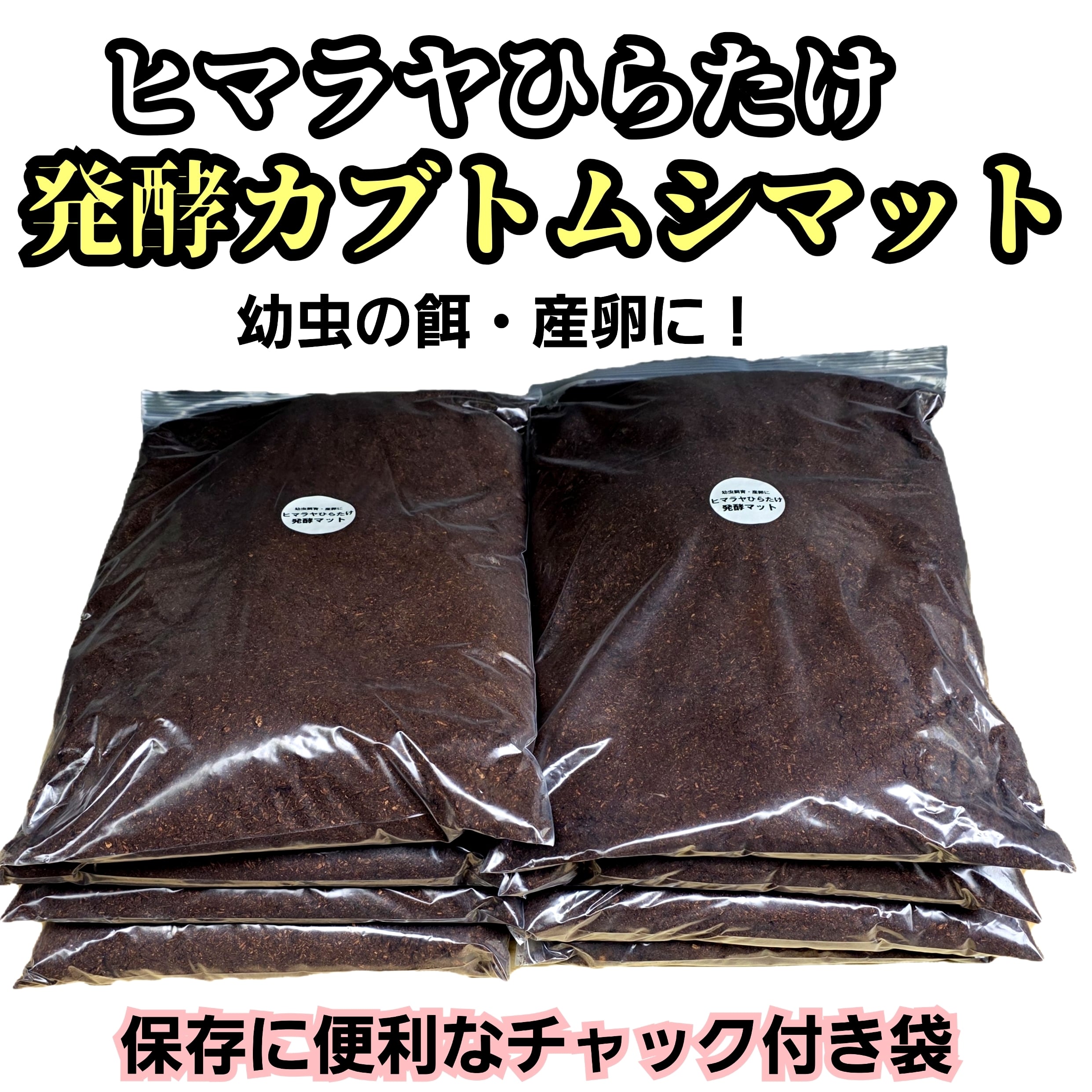 カブトムシ幼虫が大きくなります！ 国産88ミリ羽化実績多数！ヒマラヤ