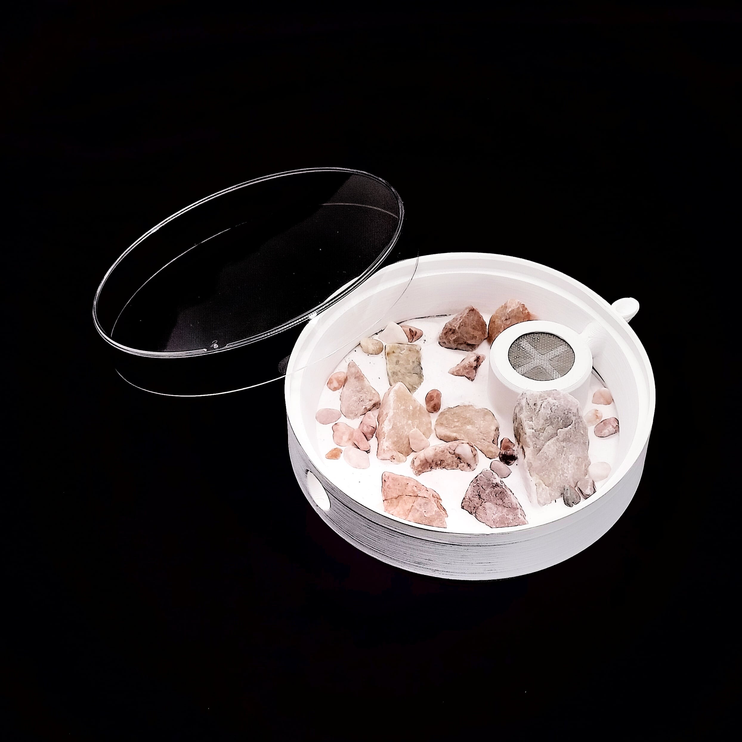 天然石入り平型石膏巣｜ラウンドタイプ | あり巣 in underground（蟻の