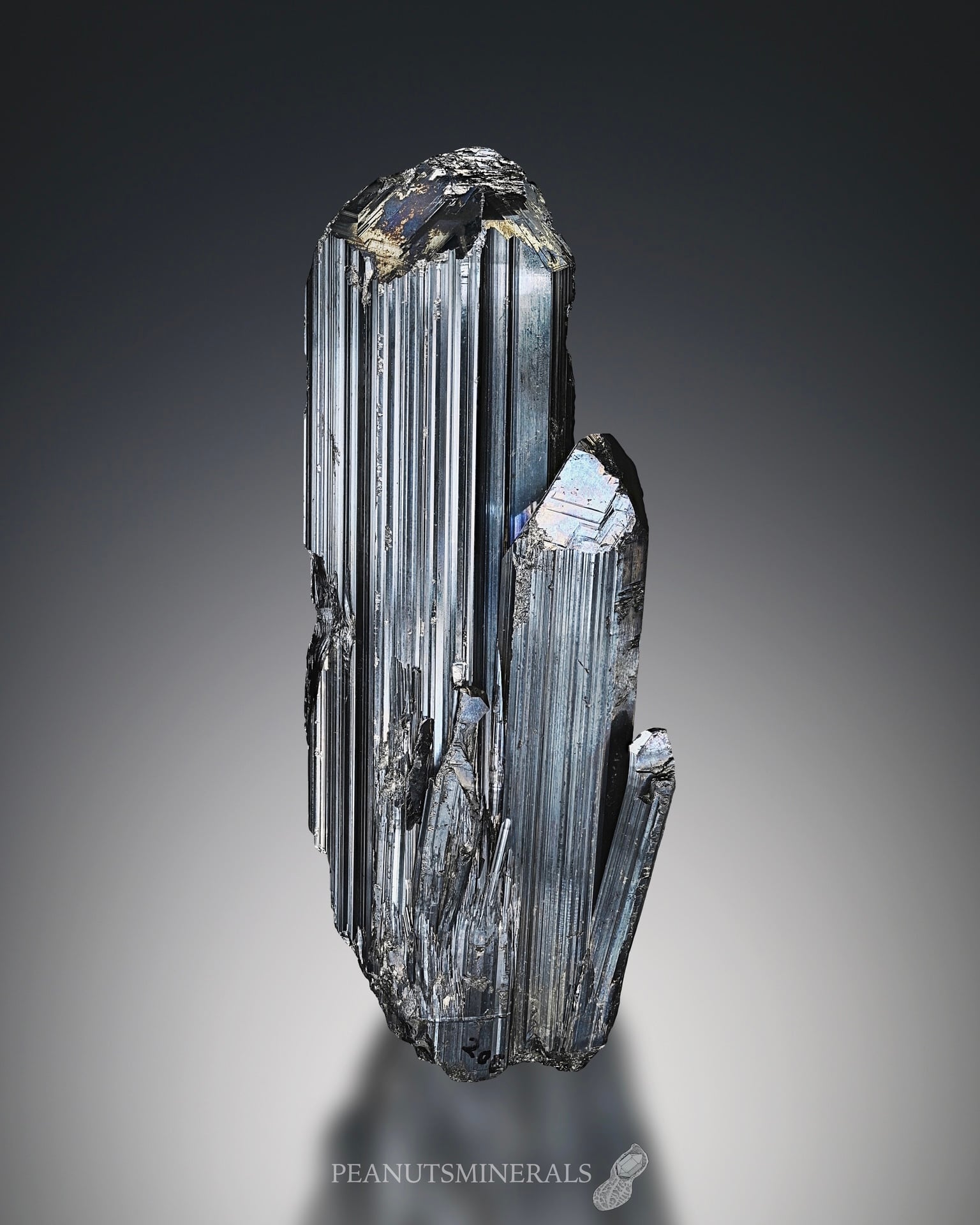 輝安鉱 / スティブナイト【stibnite】愛媛県産 | PEANUTS MINERALS