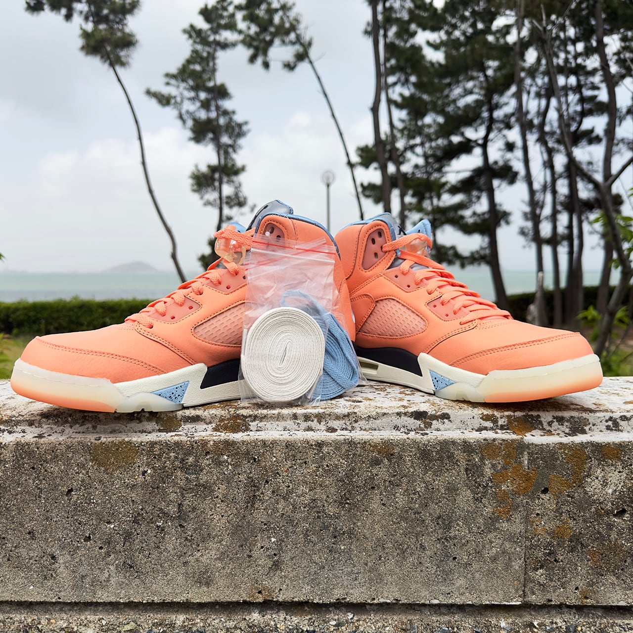 DJ Khaled × Nike Air Jordan 5 Retro 