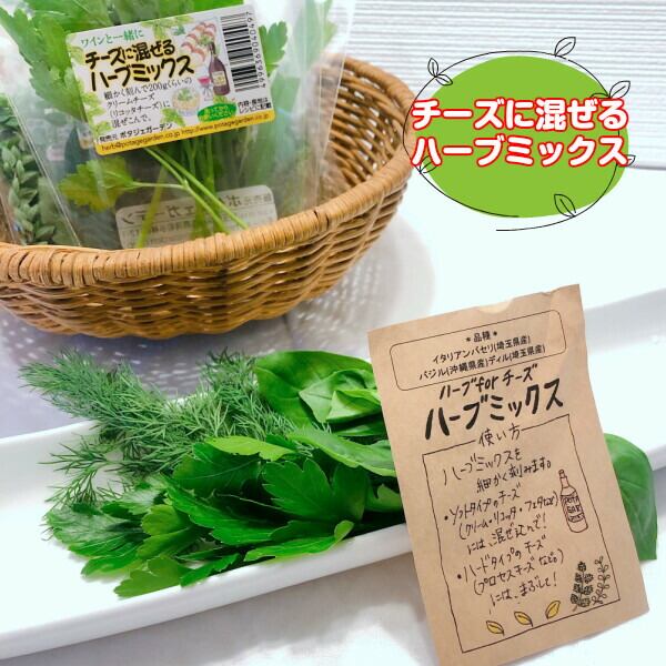 お試し価格】ハーブ 食用 ミックス 5種セット | ハーブ苗のポタジェ