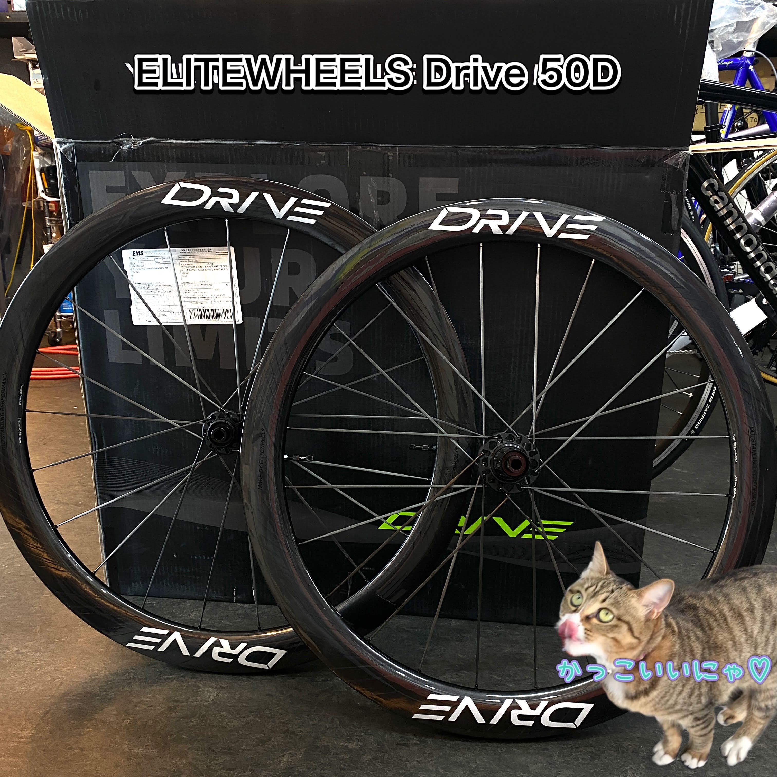 ELITEWHEELS（エリートホイール）Drive 50D ディスクブレーキ 前後