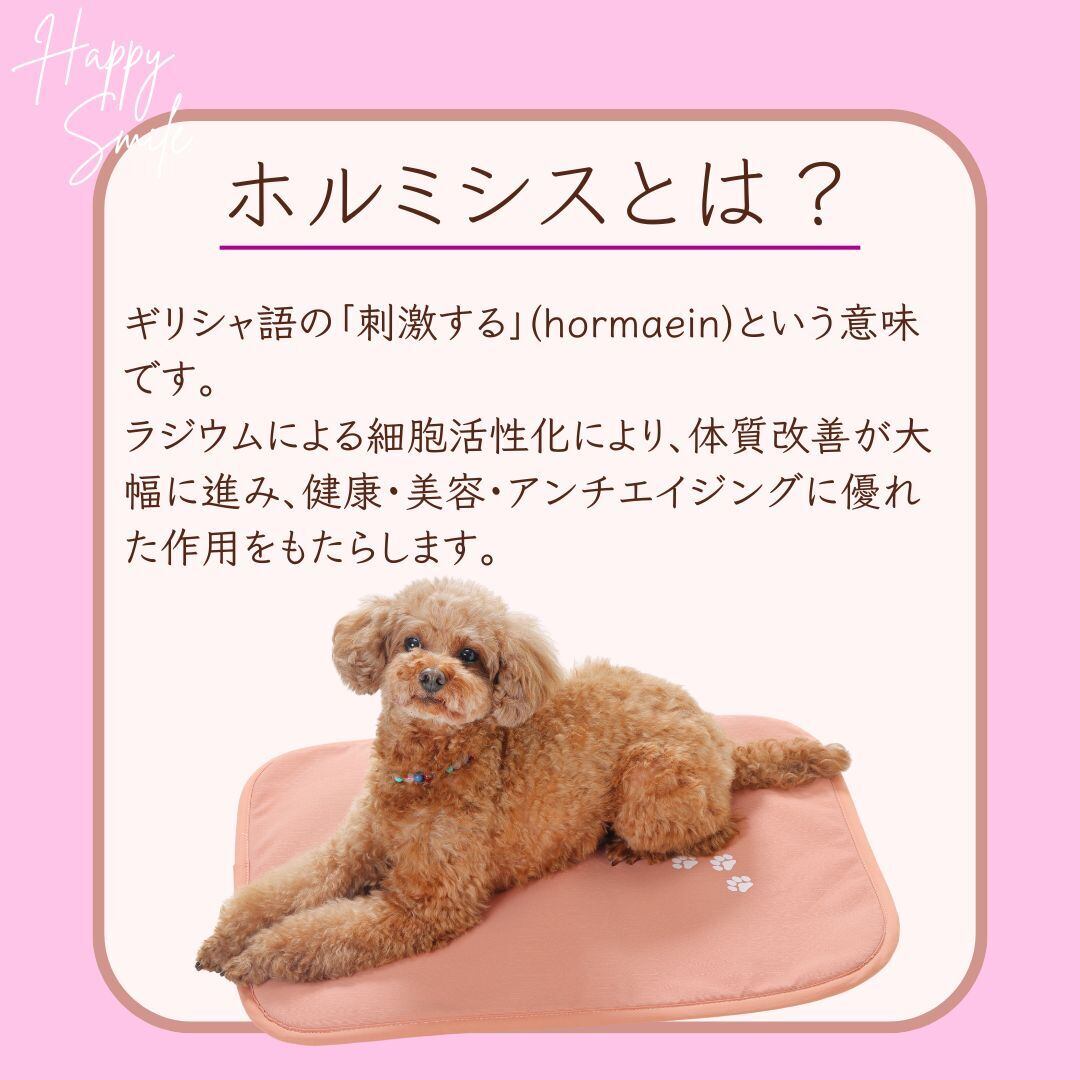 ホルミシス サブティーマット わんにゃんホルミシスマット【サイズ ：L