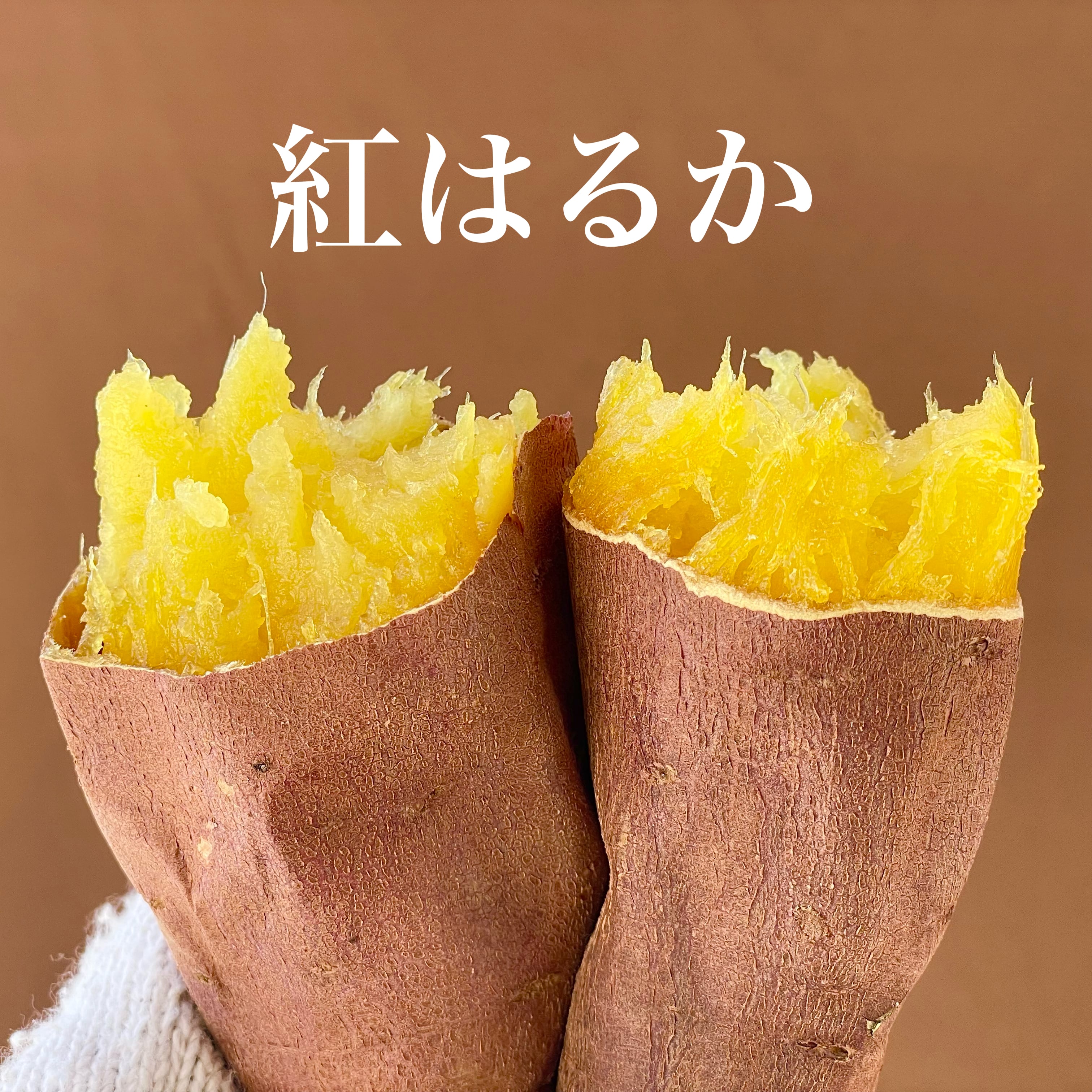 贅沢3種セット】厳選壺焼き芋セット 1.5kg（6〜10本） | さつまいも