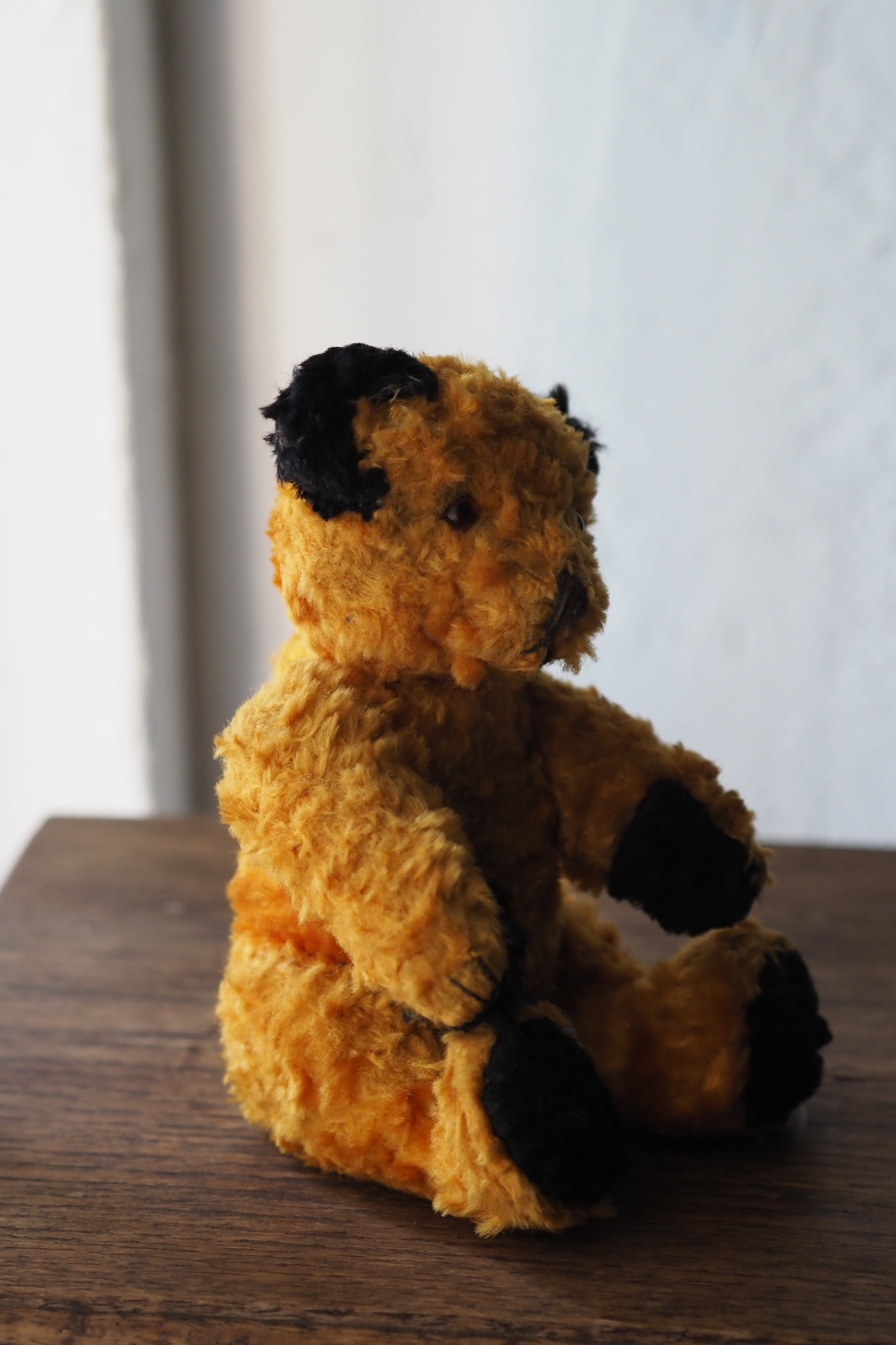 首を傾げるスーティーベア-vintage teddy bear | アンティーク