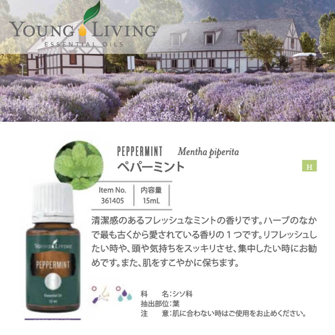 ヤング・リヴィング ラベンダー 15ml | yufla（ユフラ ）セレクトショップ