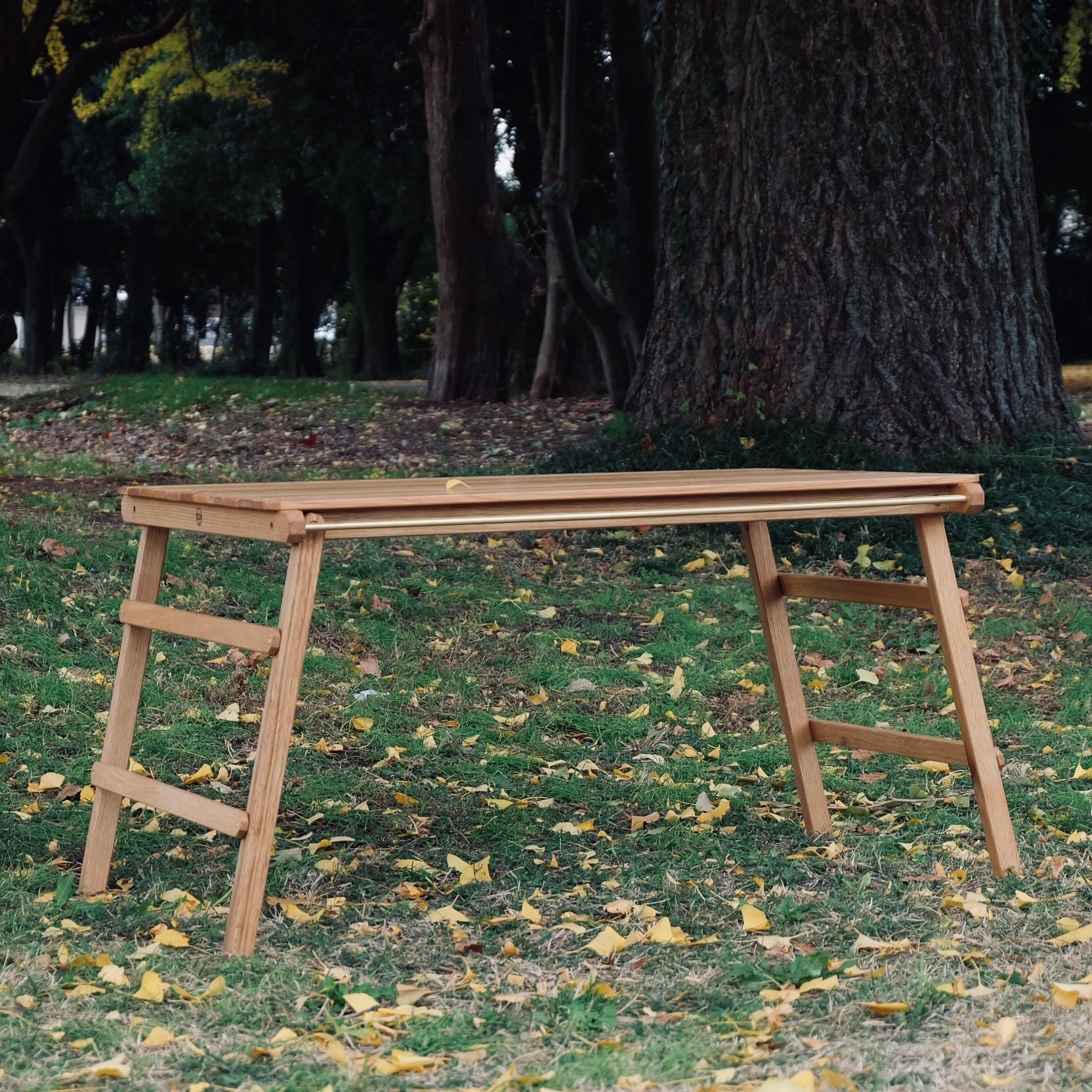 standard table | 0229