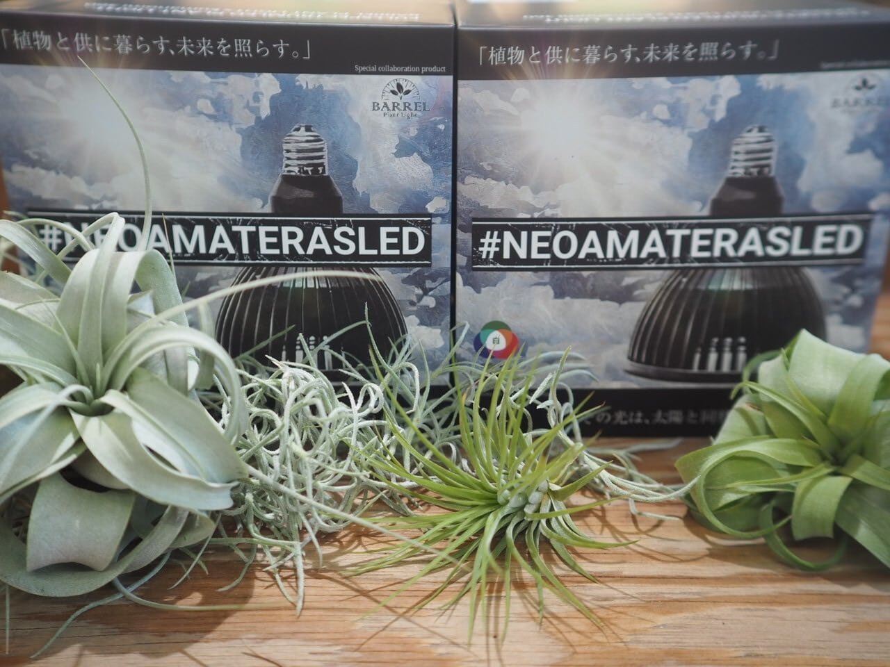◇ NEO AMATERAS LED-20W ／ 太陽光に最も近い植物育成ライト × 2個Set