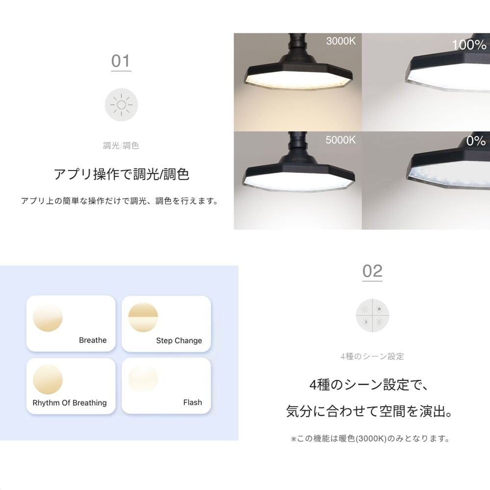 BARREL ロキ オクタゴン ブラック（ROKI-OCTAGON-50W） 育成ライト