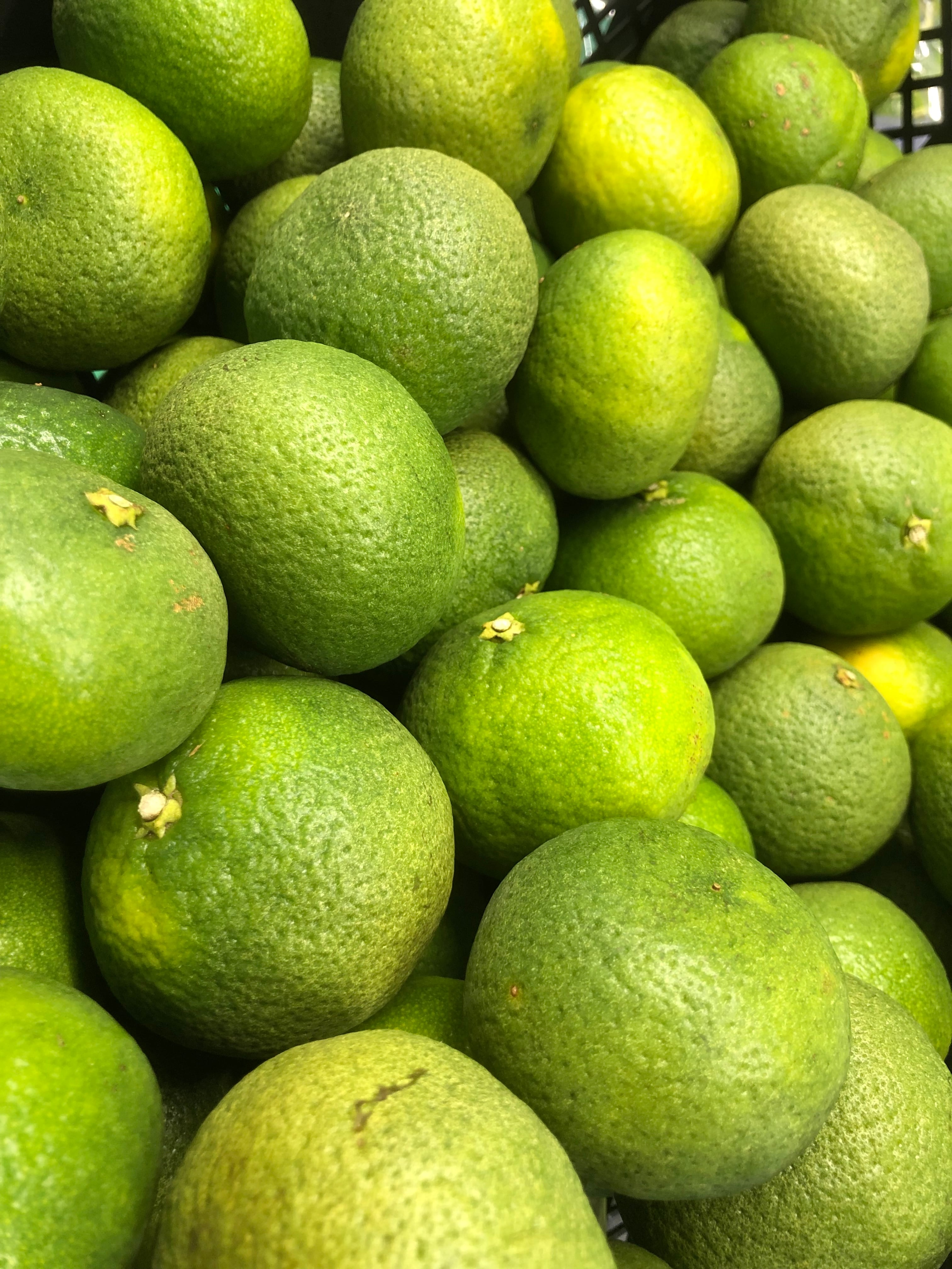 花良治みかん2kg【A・B品詰め合わせ】 | SONTAR GARDEN