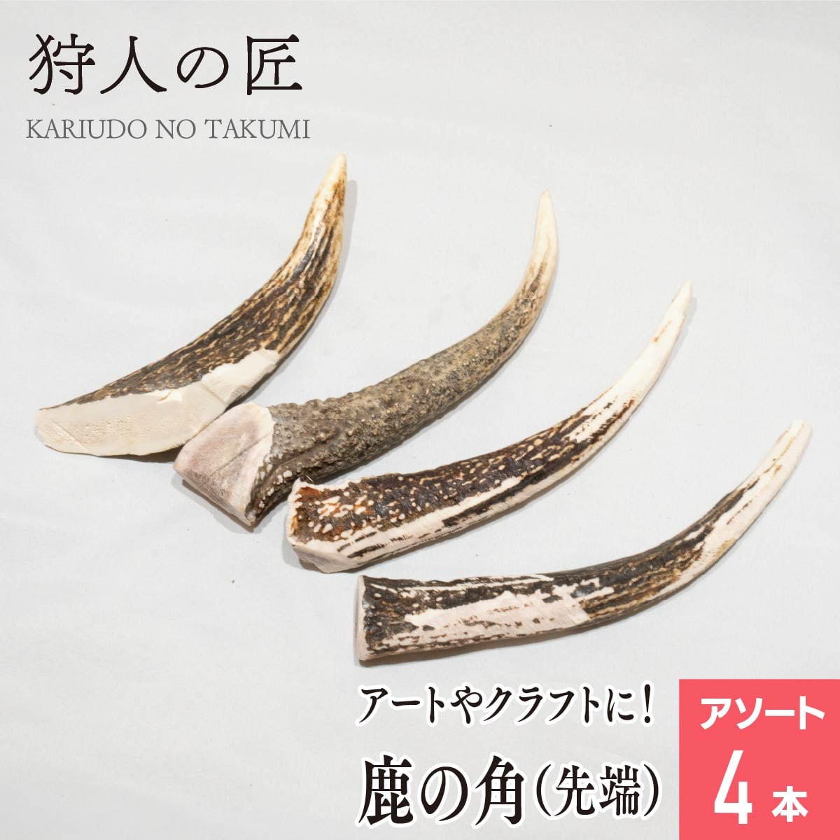25kg 鹿の角 エゾシカ 角 端材 アクセサリー パーツ素材 10kg 鹿の角