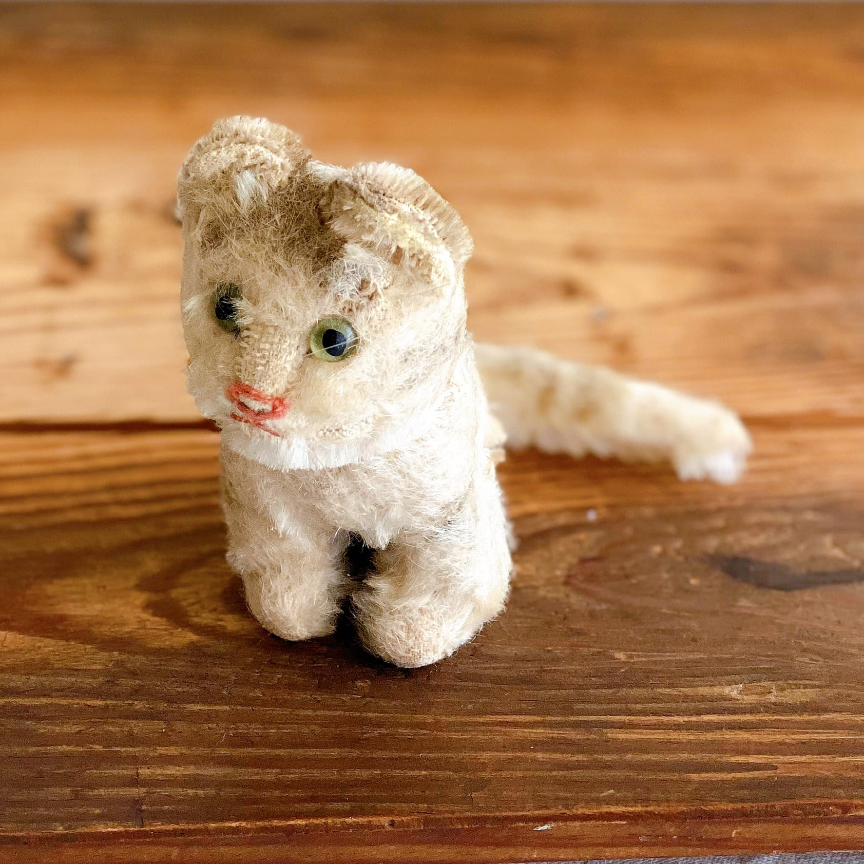 Steiff シュタイフ 猫のSusi （ドイツ） | ぽわにえ・だむーる