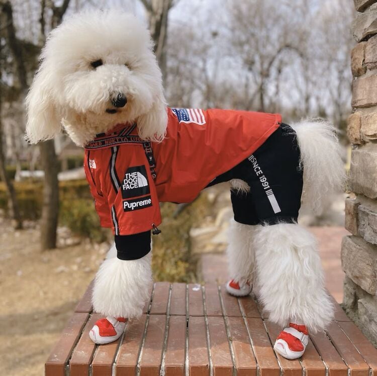 送料無料】FLUFFYPET大型犬用 犬服カッコいいウィンドブレーカー