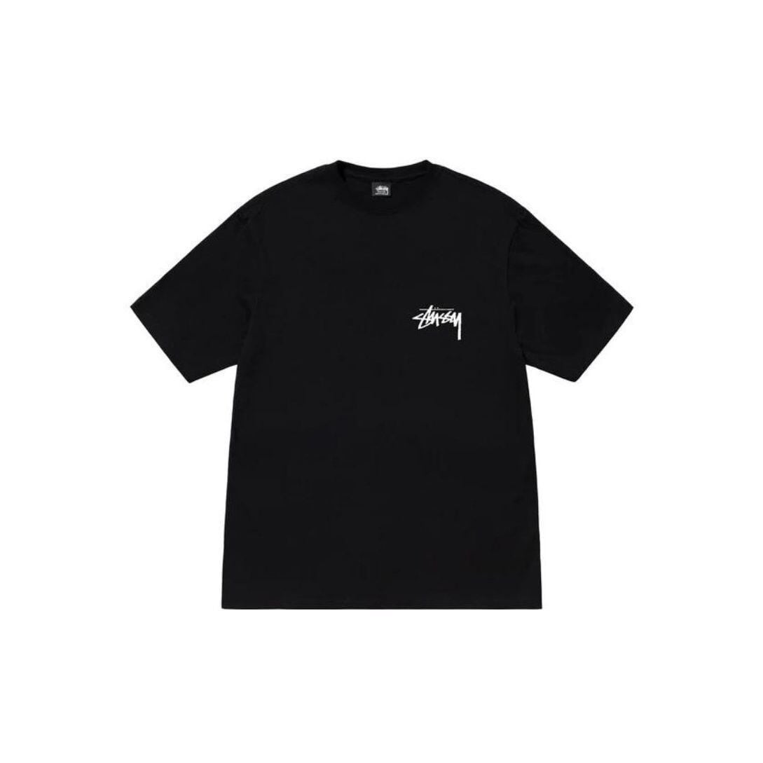ステューシー STUSSY SHATTERED TEE BLACK シャッタード Tシャツ