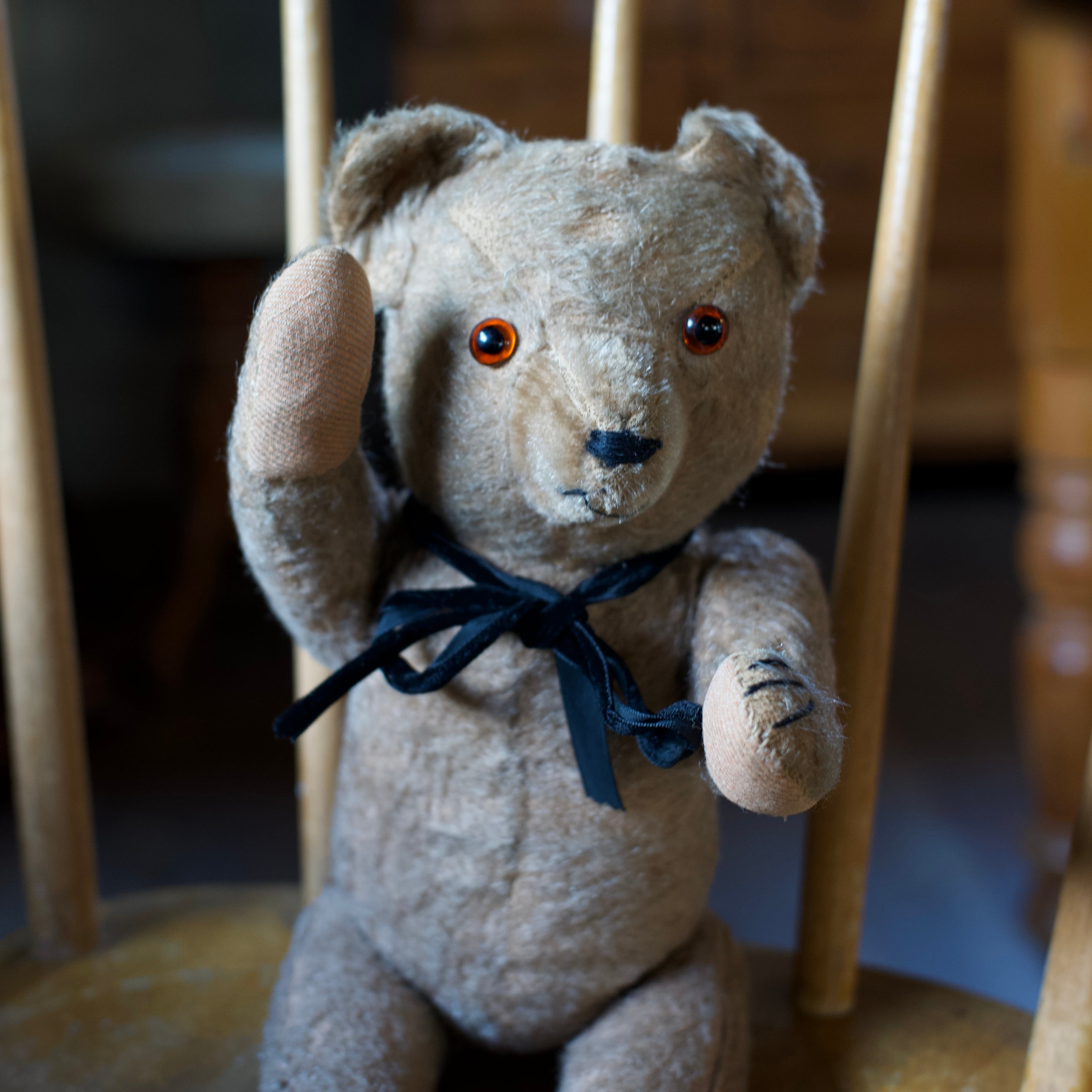Teddy Bear / テディベア〈 ぬいぐるみ・くま・オブジェ・ディスプレイ