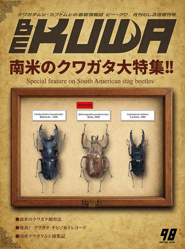 最新号】BE-KUWA 98号 | KPW公式オンラインショップ