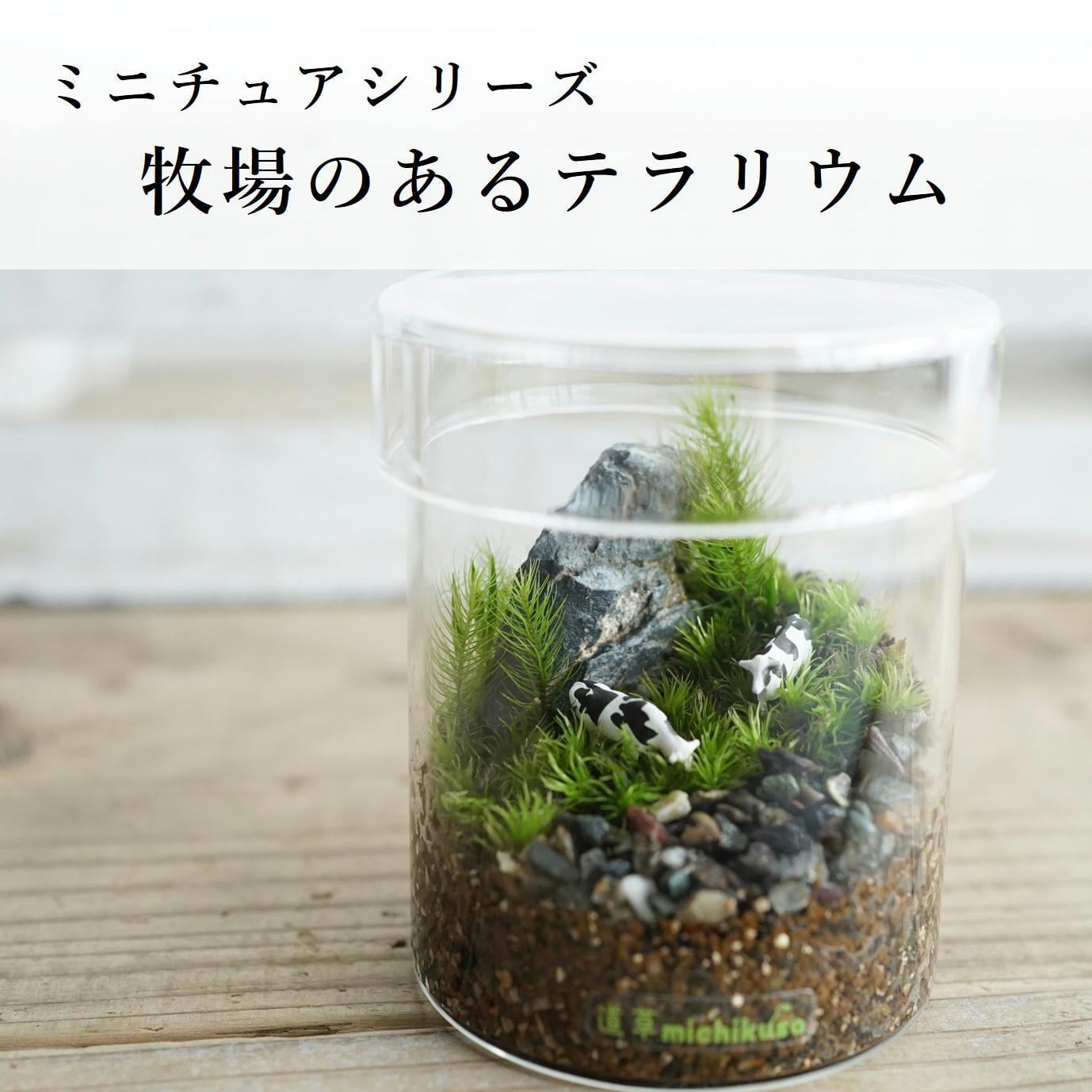 ミニチュアの世界】牧場の苔テラリウム（牛） シリンダー | 苔