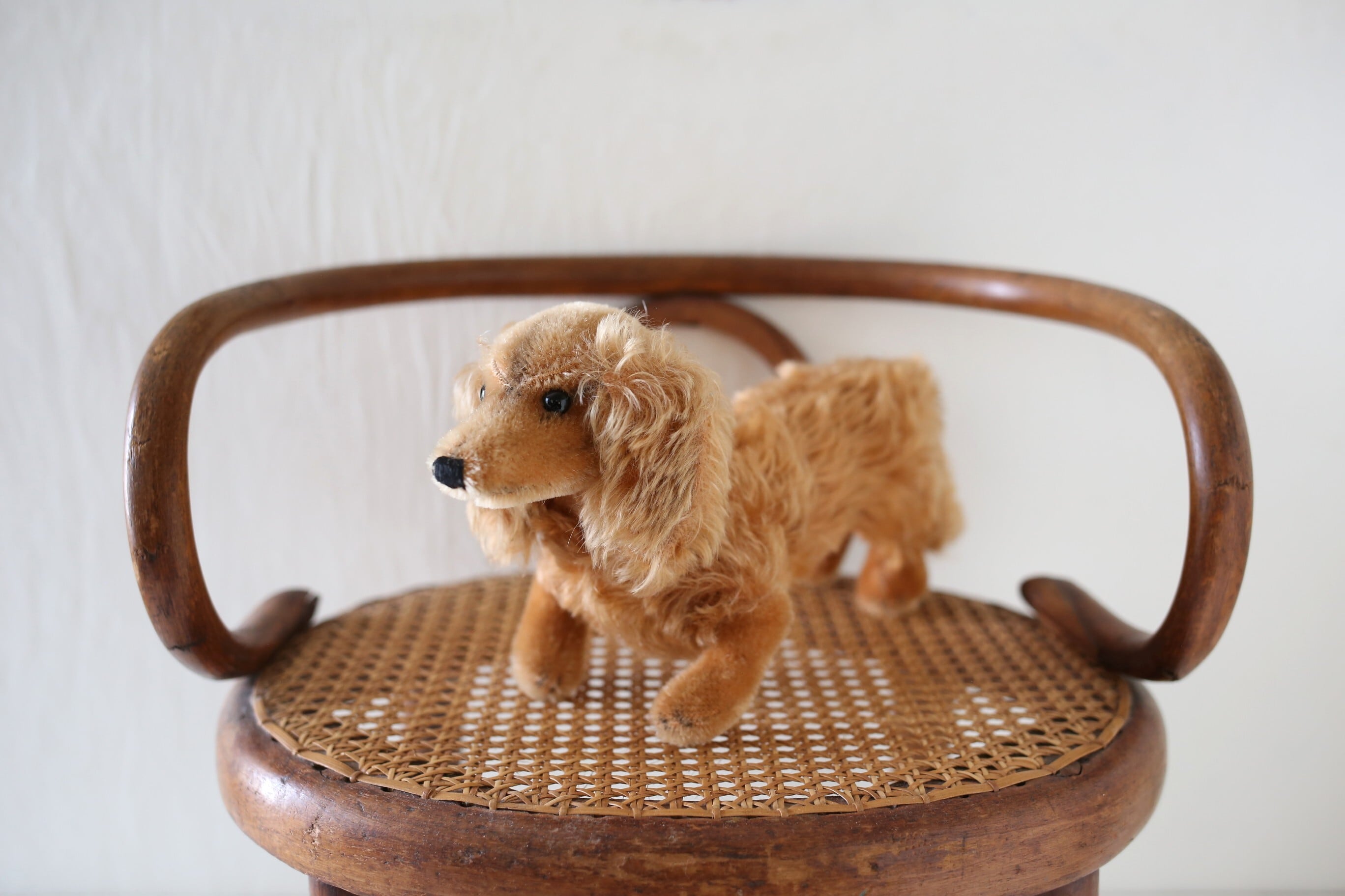 シュタイフ steiff | EMUPARIS