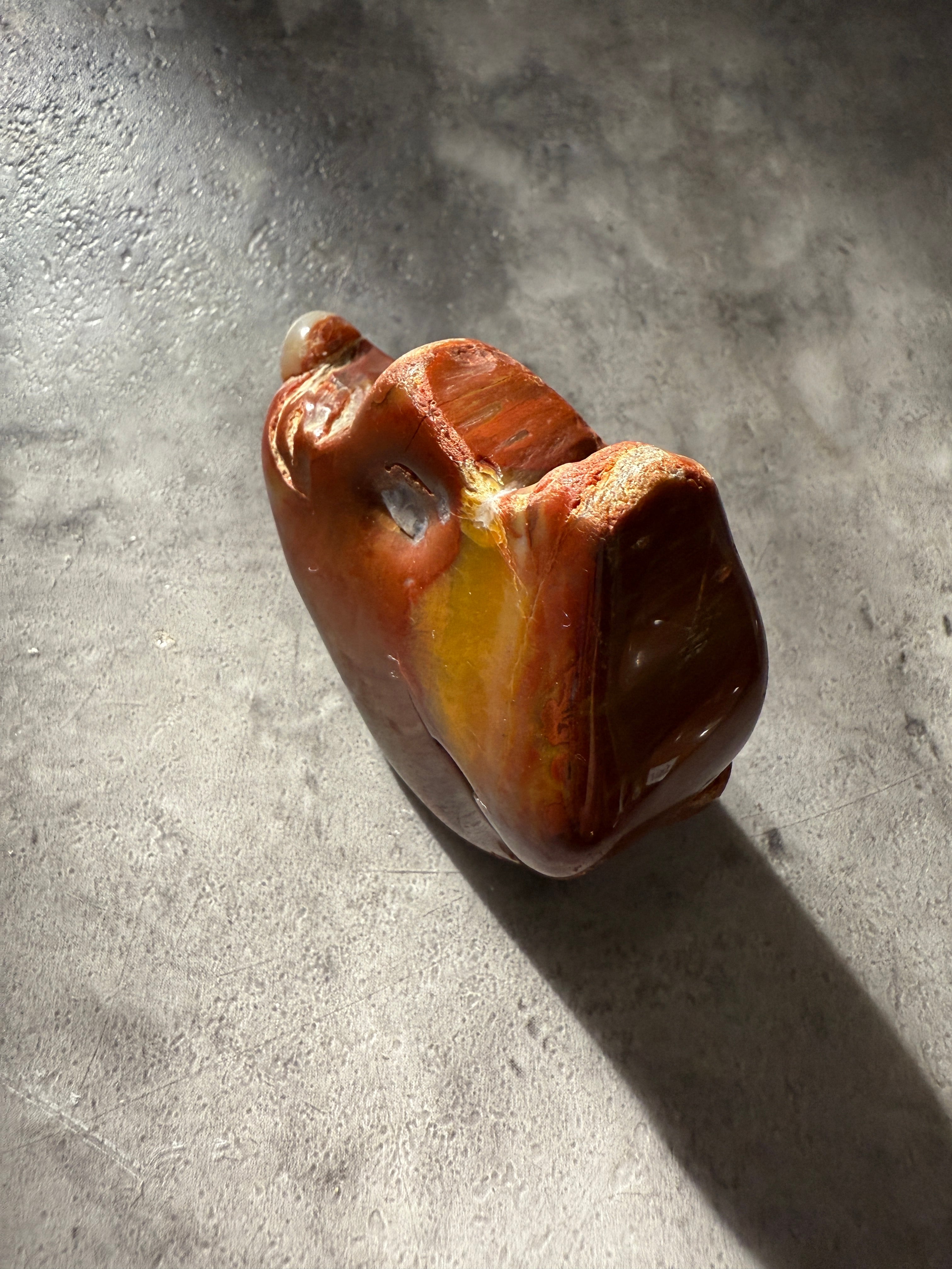 送料込】petrifiedwood ペトリファイドウッド 珪化木 | solin