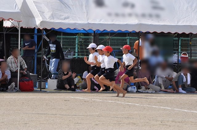 美品☆ Nikon 55-300mm VR☆運動会も野鳥もこれ一本でバッチリ♪ 美品