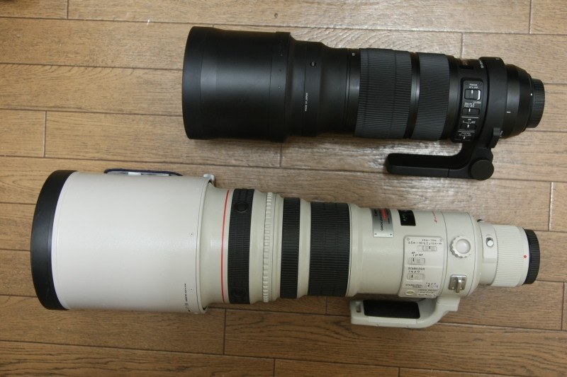 いろいろ検討させてもらいました。』 シグマ 120-300mm F2.8 DG OS HSM