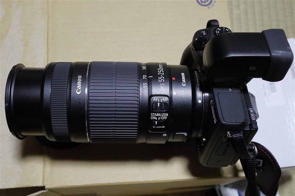 ブレない望遠レンズ✨EF-S 55-250mm IS STM✨静音AF 動画◎ ブレない