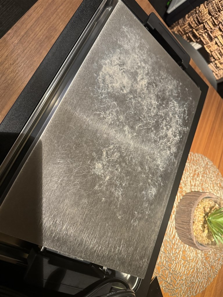 レビューはステマですか？』 バルミューダ BALMUDA The Plate Pro K10A