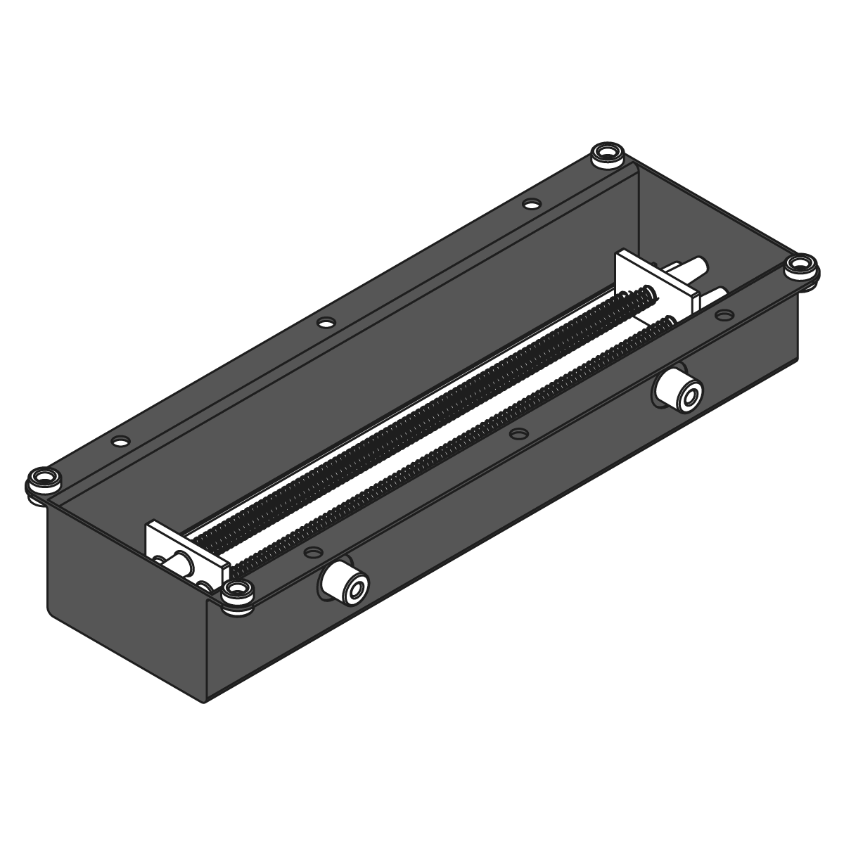 Spring Amp III – Benidub Audio Electronics