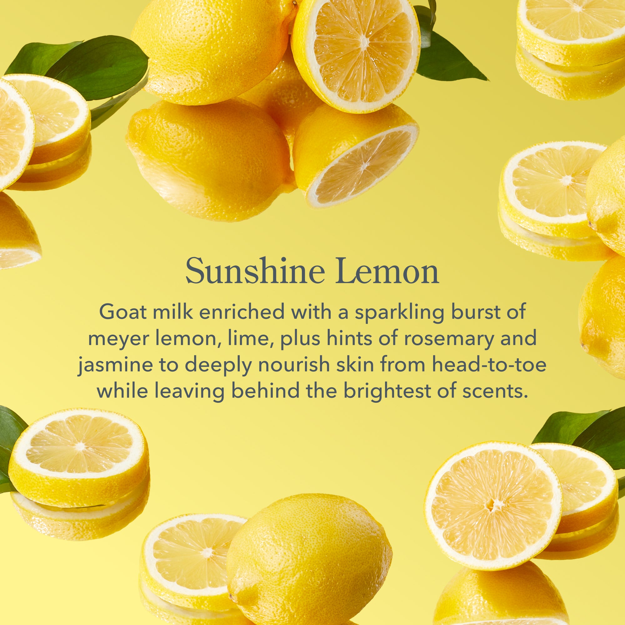 Sunshine Lemon Lip Balm