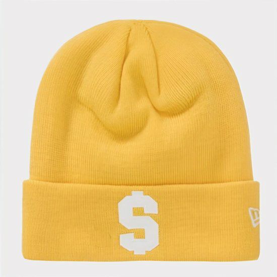 Supreme シュプリーム 2024SS New Era $ Beanie ニューエラドル