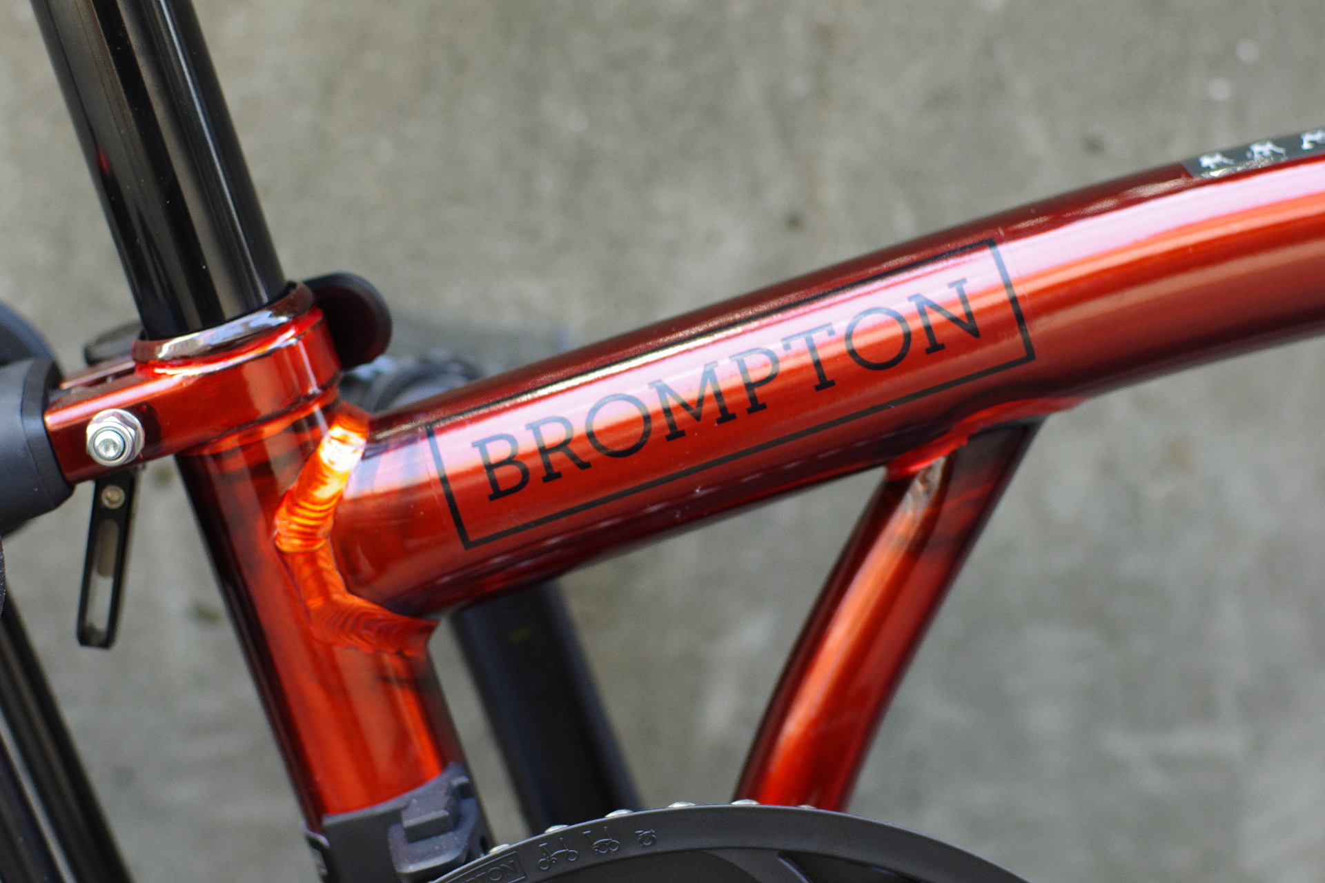 Brompton P Line Urban Low Handle フレイムラッカー入荷いたしました