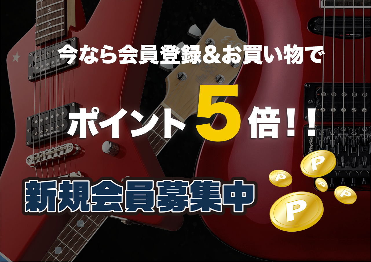 Seymour Duncan(セイモアダンカン) for P-Bass® Quarter-Pound™ [SPB-3
