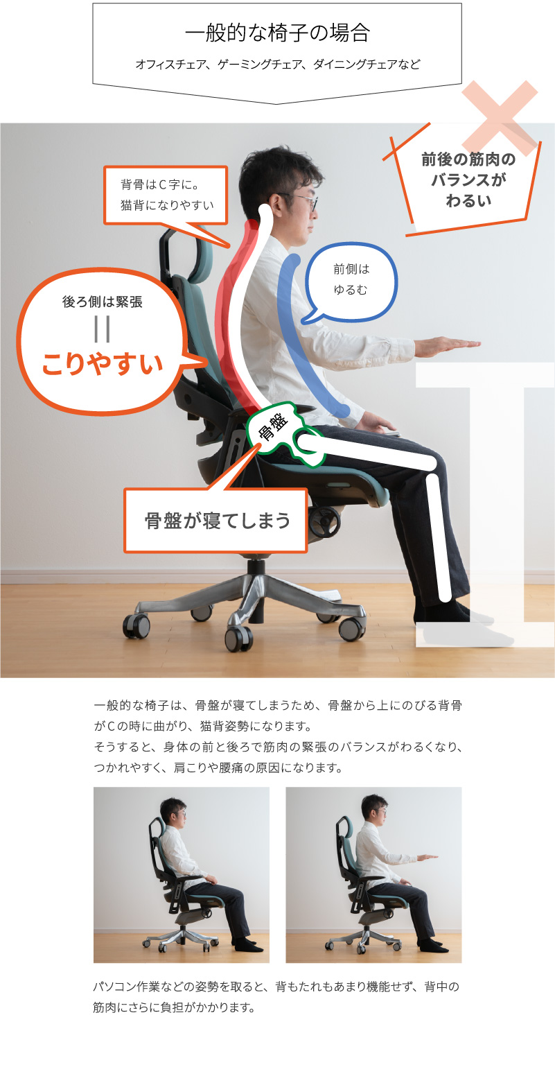 杉 天使の椅子 腰痛対策 肩こり対策 姿勢が良くなる 坐骨 座骨 姿勢