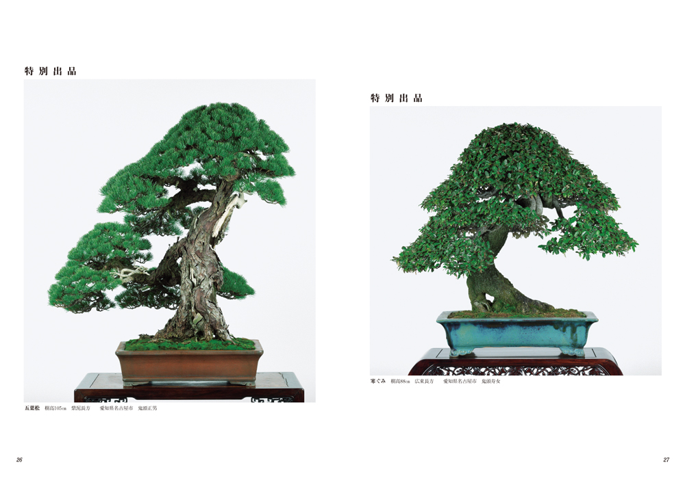 第89回 銘風盆栽展 記念帖 | 盆栽、盆栽書籍、盆栽鉢の通販│近代出版