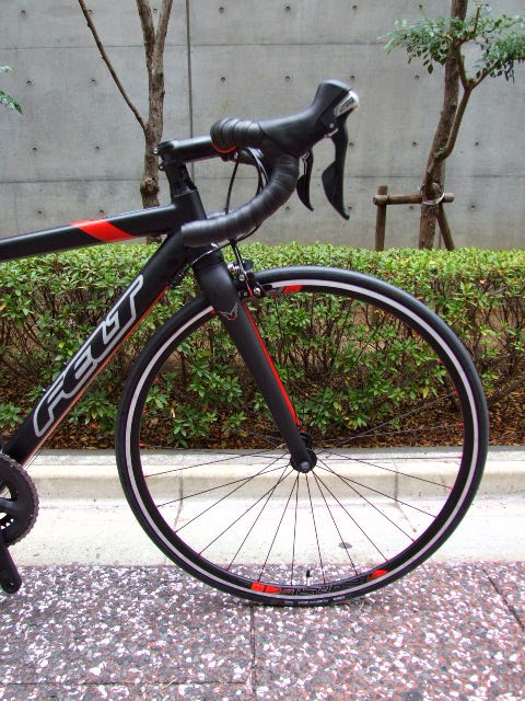 avelo Bicycle shop | アヴェロ バイシクル ショップ 浦和: FELT