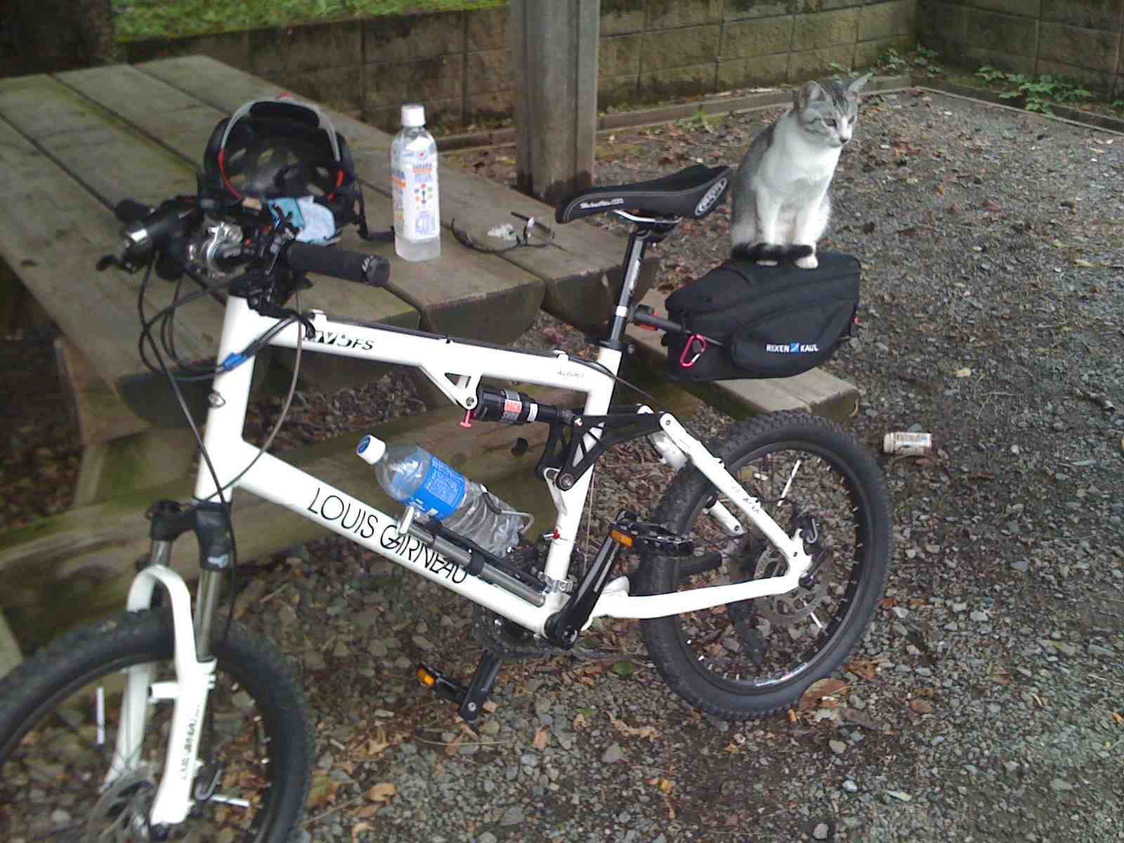 ASIMOは自転車にのる: ルイガノ LGS-MV 5FSの走行レビュー