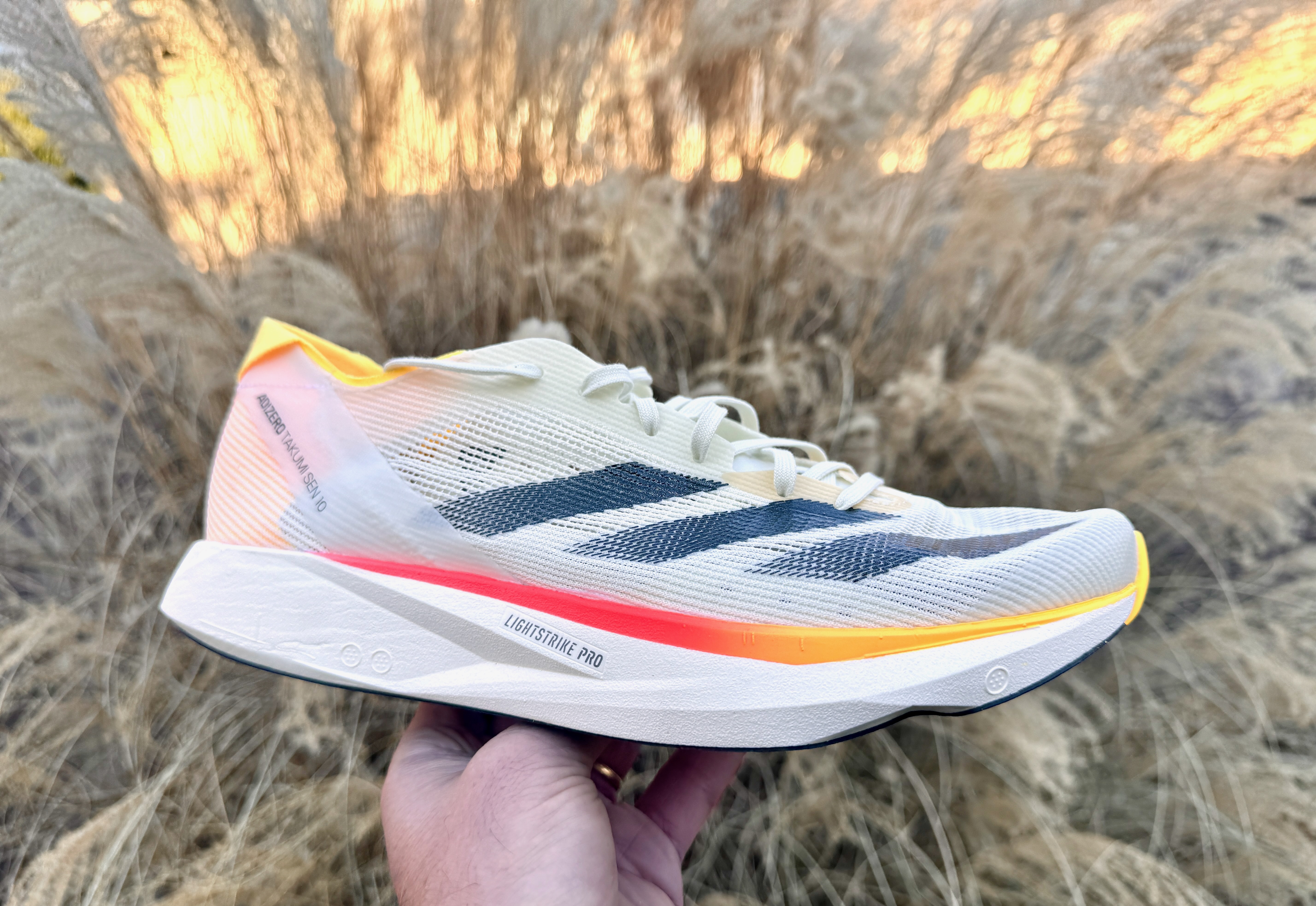 Road Trail Run: adidas Adizero Takumi Sen 10 Review: 4 Comparisons