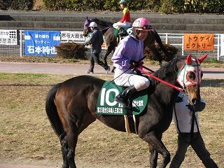 第25回全日本新人王争覇戦競走②｜地方競馬元ジョッキー 赤見千尋の