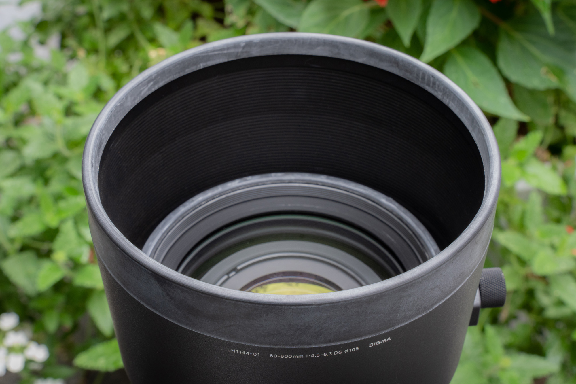 The Outdoor Photographer's Best Friend: SIGMA 60-600mm DG OS HSM