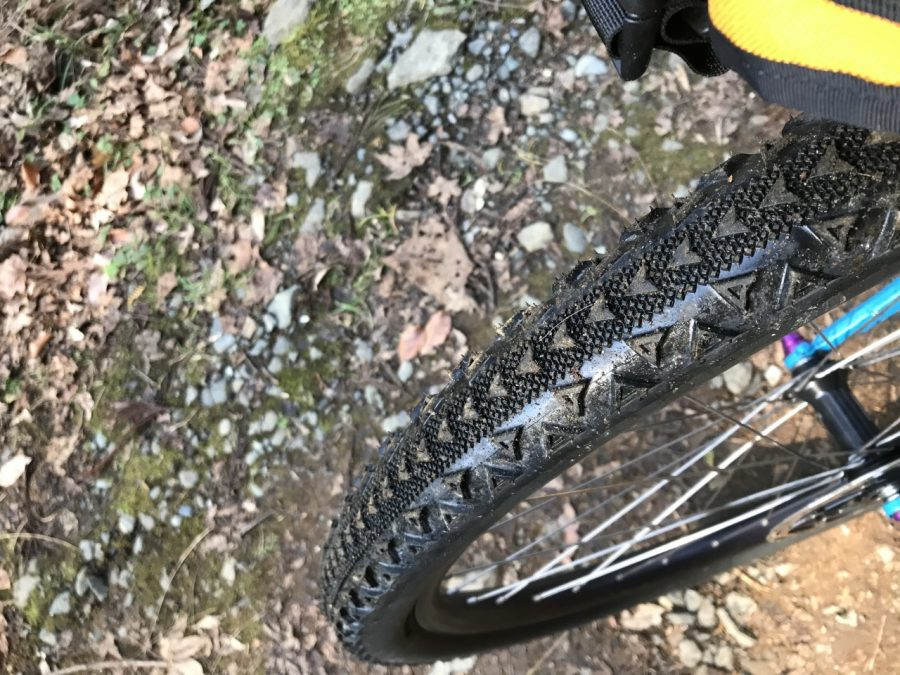 ULTRA DYNAMICO Rose 650B×48 Race Bluelug ULTRADYNAMICO* rose race