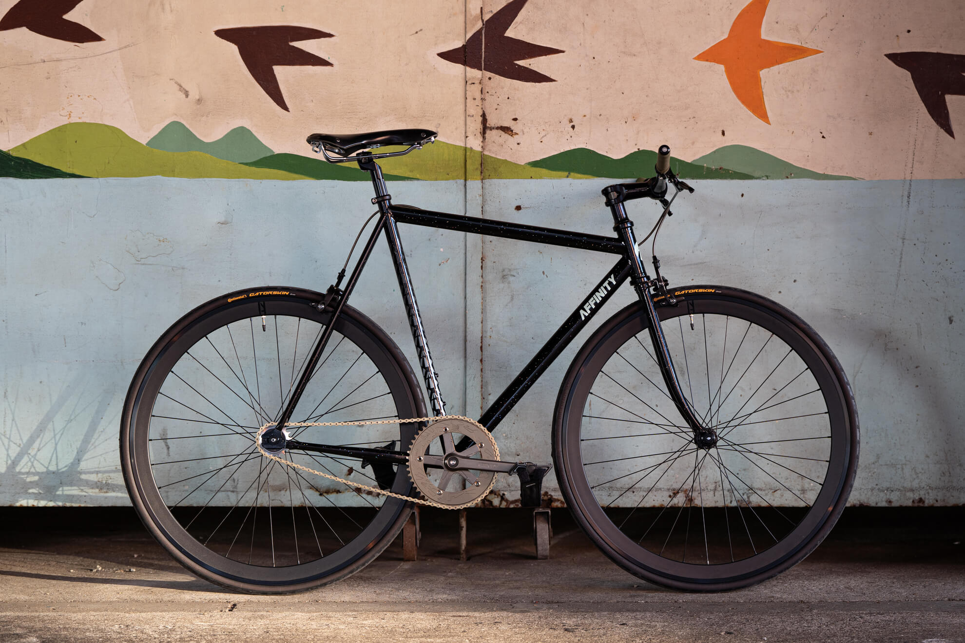 AFFINITY CYCLES