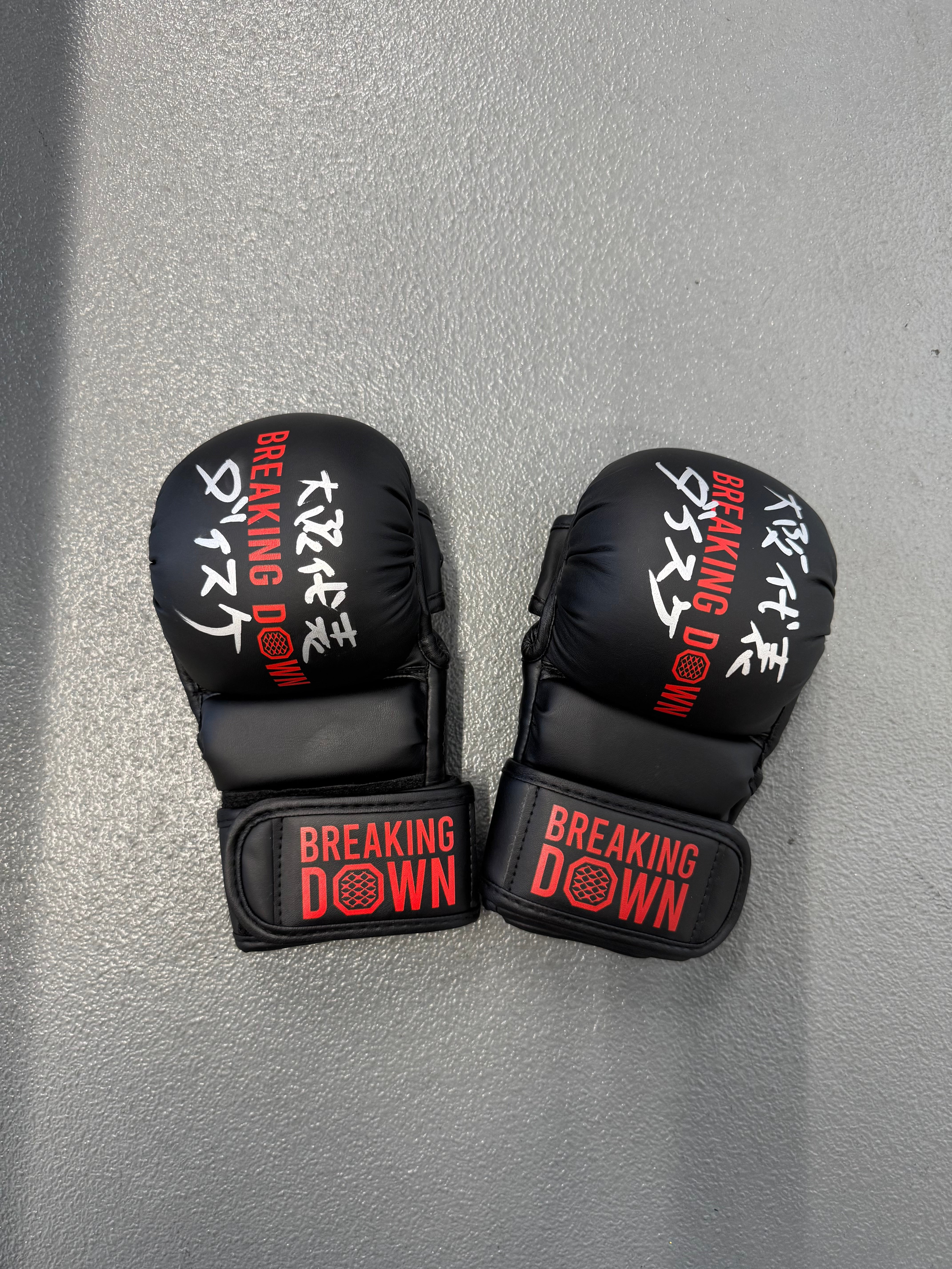 BreakingDown17 ダイスケ選手サイン入りグローブ – BreakingDown