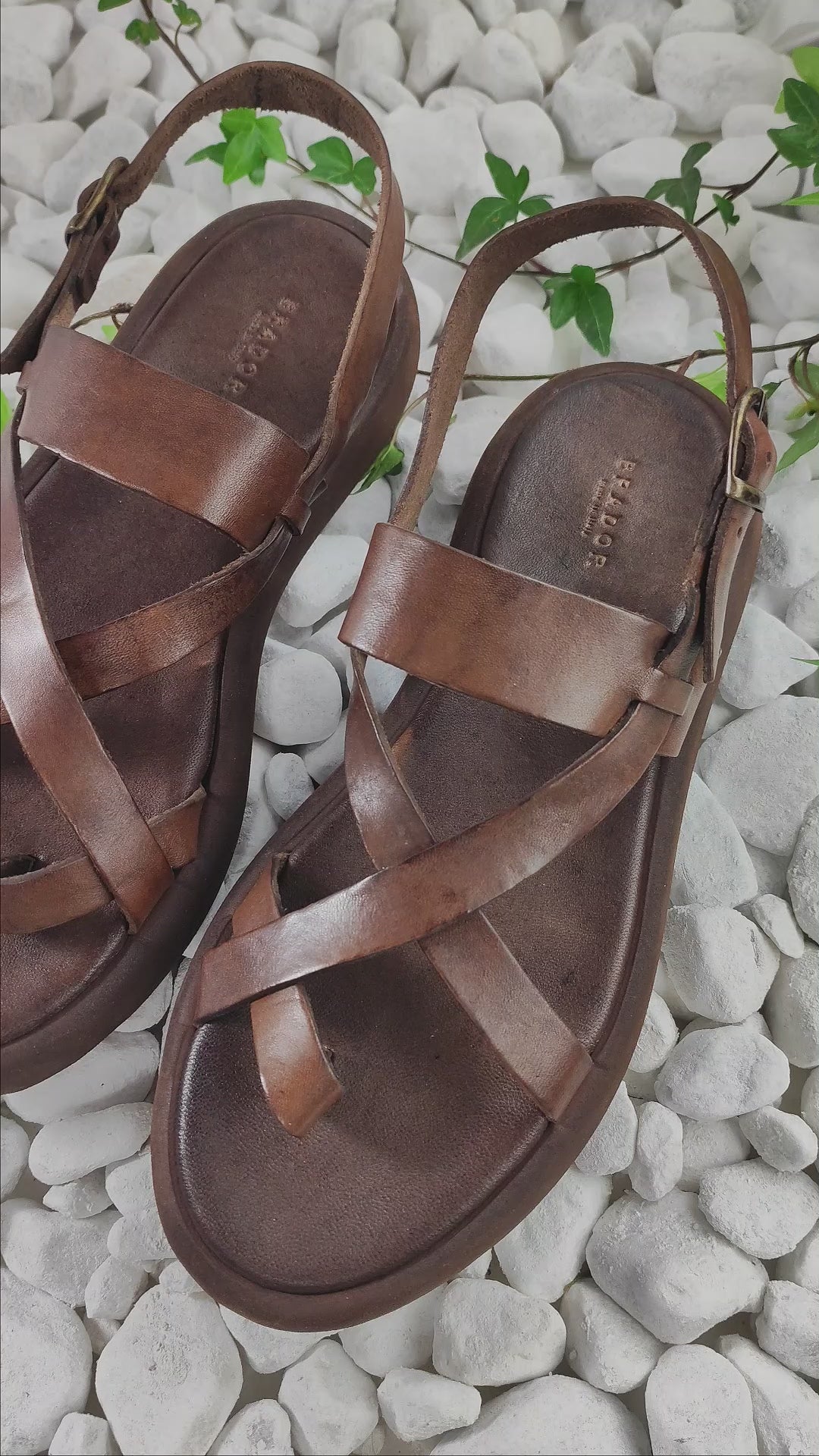 85-723 MOGANO – BRADOR JAPAN