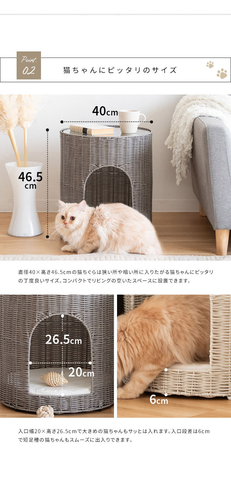 ねこページ ねこ:0ページ 猫さんページ ねこページ 猫さん Buy ZX 700