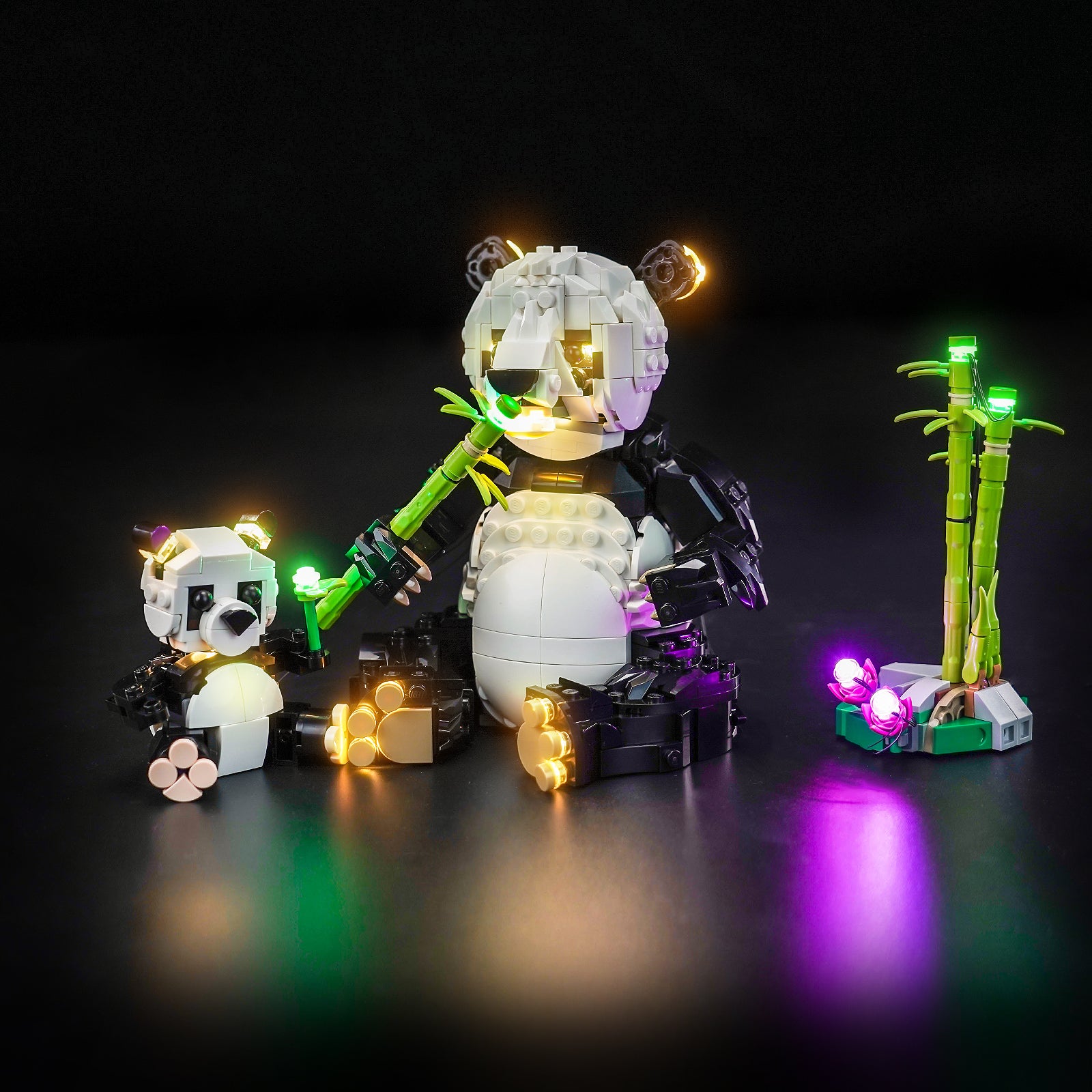 Light Kit for LEGO Creator 3-in-1 Wild Animals: Panda Family 31165