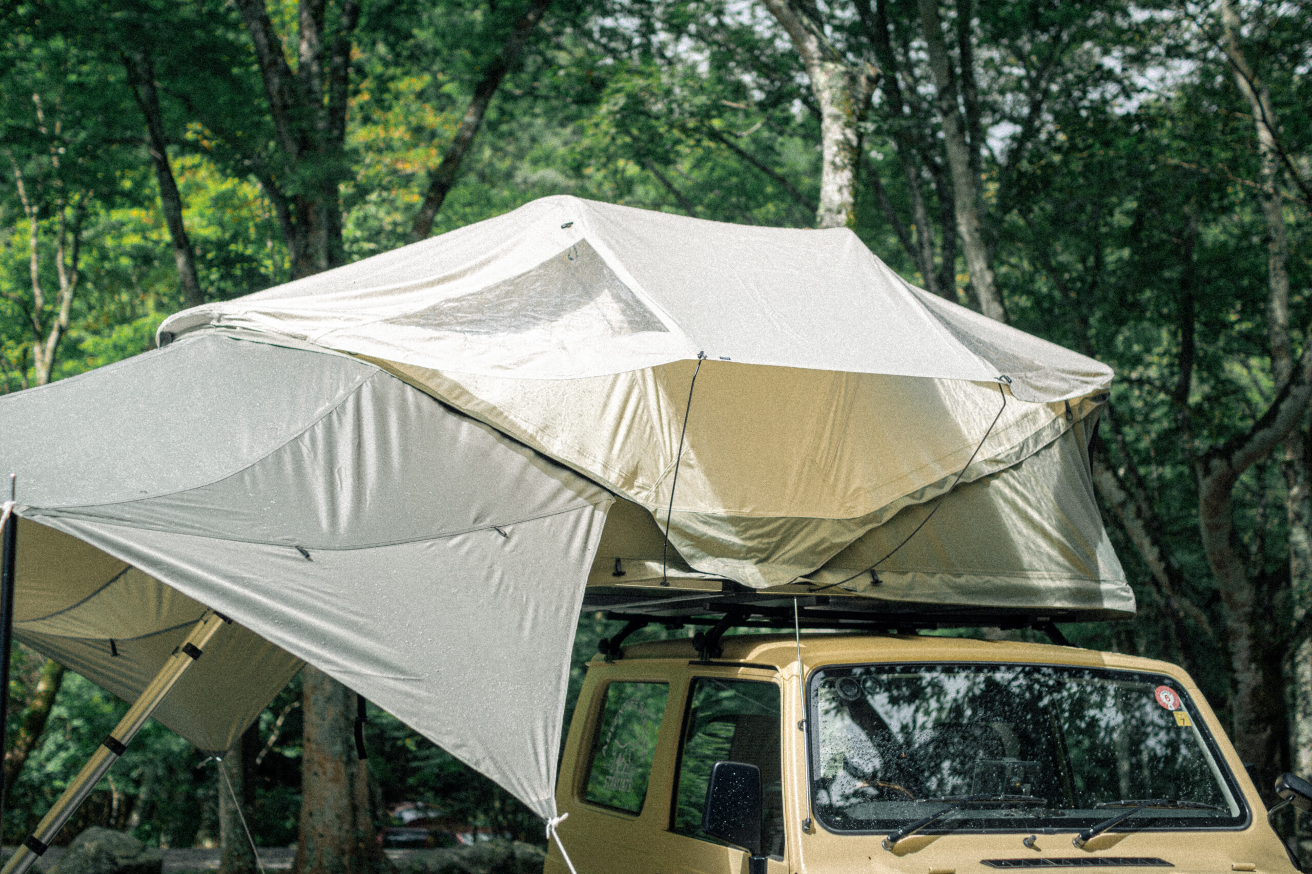 DSC_0579-scaled.jpg