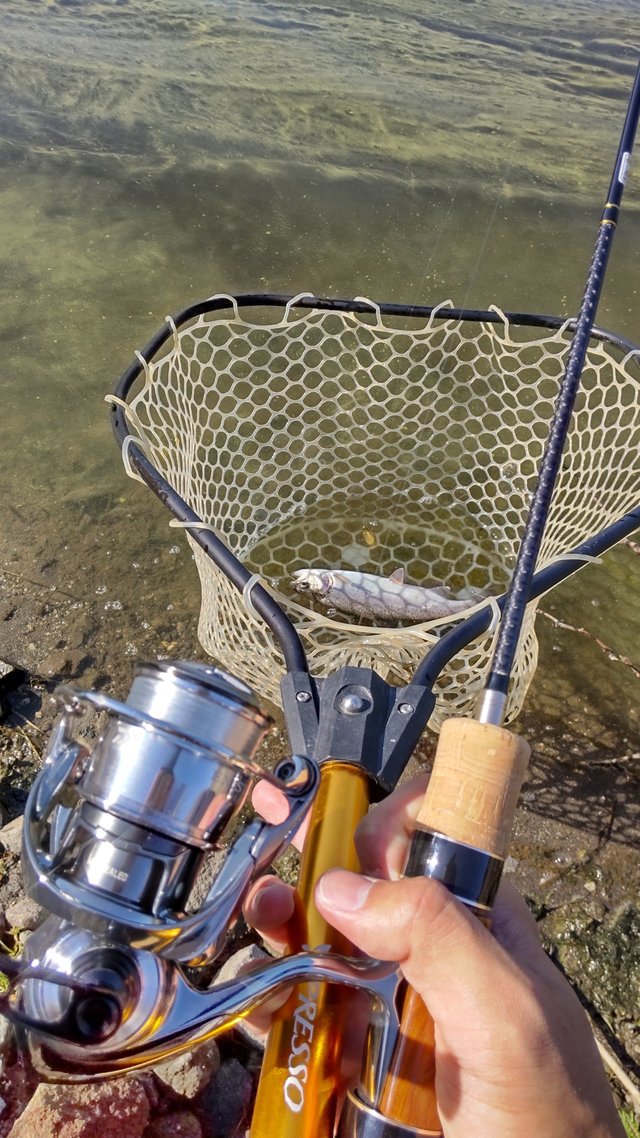 2023年11月02日(木) 山梨県 甲府店の釣果です。[釣具のキャスティング]