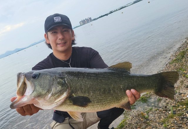 エバーグリーン オライオン OCSC-71H＋ ブラックローズ【大型