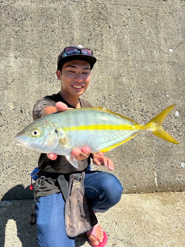 銀狼王牙imガイド訳あり0.8号50 ﾀﾞｲﾜ 20 銀狼王牙 AGS 08-50・R(08-50