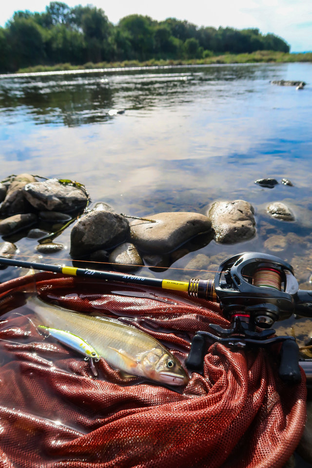 ダイワ ベイトリール スティーズ AIR TW 500XXHL(500XXHL): リール